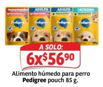 Soriana Mercado Pedigree Alimento húmedo para perro oferta