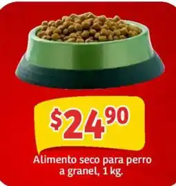 Soriana Mercado Alimento seco para perro oferta