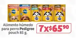 Soriana Súper Alimento húmedo para perro Pedigree pouch oferta