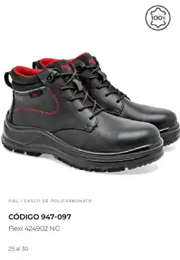 SC Pakar Flexi 424902 NG oferta