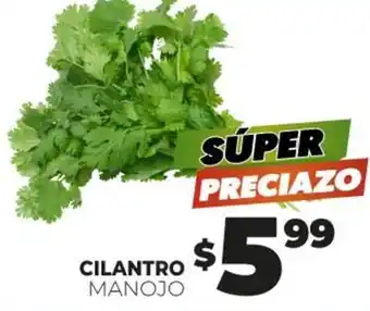 Cilantro manojo