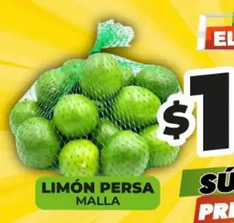Limón persa malla