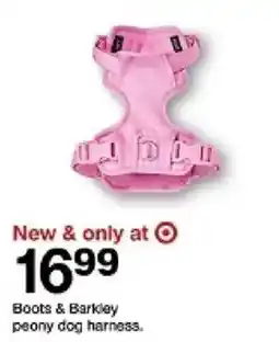 Target Boots & Barkley peony dog harness oferta