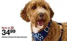 Target Hooray House knit dog harness oferta