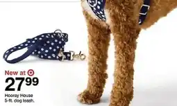 Target Hooray House 5-ft. dog leash oferta