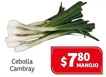 Soriana Híper Cebolla Cambray oferta