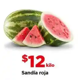 Bodega Aurrerá Sandía roja oferta