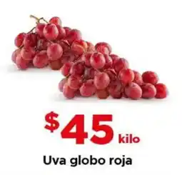 Bodega Aurrerá Uva globo roja oferta