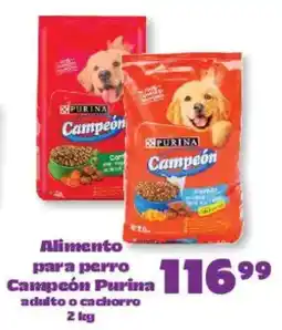 S-Mart Campeón Purina oferta