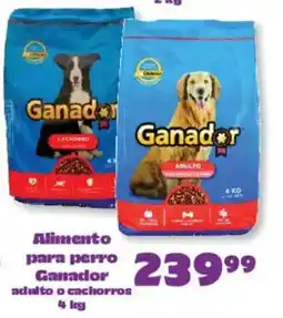 S-Mart Ganador alimento para perro adulto o cachorros oferta