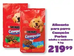 S-Mart Purina Campeón oferta