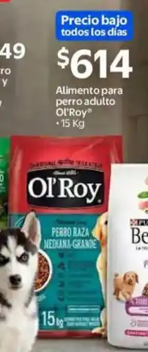 Walmart Ol'roy alimento para perro adulto oferta