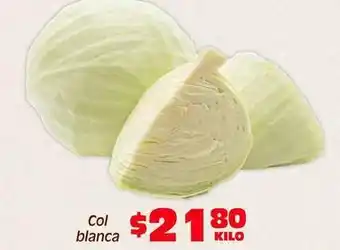 Col blanca