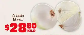 Cebolla blanca