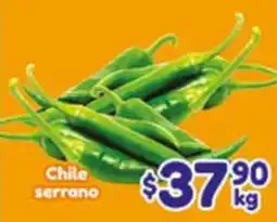 El Florido Chile serrano oferta