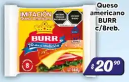 El Florido Burr queso americano oferta