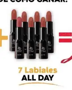 Fuller 7 Labiales All Day oferta