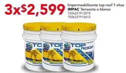 City Club Impac top roof oferta