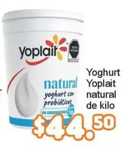 Merza Yoplait yoghurt natural oferta