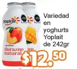 Merza Yoplait variedad en yoghurts oferta