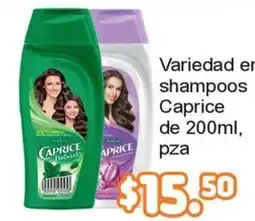 Merza Caprice shampoos oferta