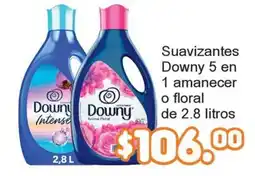 Merza Downy suavizantes 5 en 1 amanecer o floral oferta