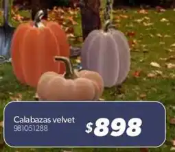Sam's Club Calabazas velvet oferta