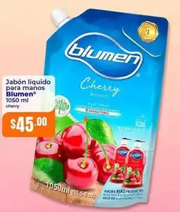 Tiendas Neto Blumen - jabón líquido para manos oferta