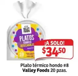 Soriana Mercado Valley Foods platos termicos desechables oferta