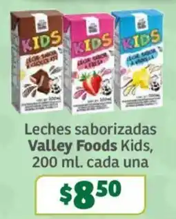Soriana Súper Valley Foods Kids oferta
