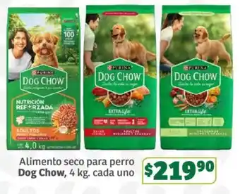 Soriana Súper Dog Chow oferta