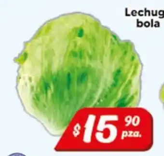 El Florido Lechuga bola oferta