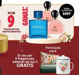 Fuller Armand dupree oferta