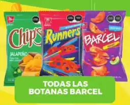 Merco Barcel todas las botanas oferta