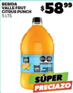 Merco Valle Fruit Citrus Punch oferta
