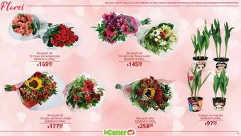 Flores