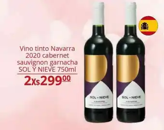 Vino tinto navarra 2020 cabernet sol y nieve x 2