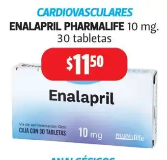 Enalapril Pharmalife