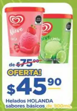 Super Gutiérrez Helados HOLANDA sabores basicos oferta
