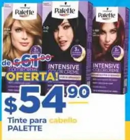 Super Gutiérrez Palette Tinte para cabello oferta