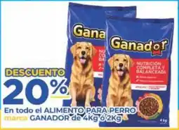 Super Gutiérrez ganador alimento para perro oferta