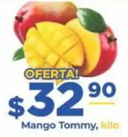 Super Gutiérrez Mango Tommy oferta