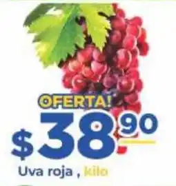 Super Gutiérrez Uva roja oferta