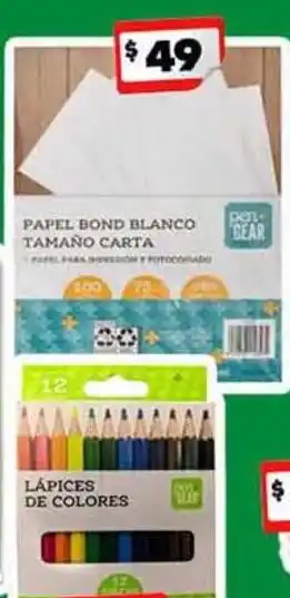 Pastel bear papel bond blanco tamaño carta