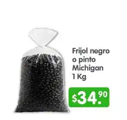 Arteli Frijol negro o pinto Michigan oferta