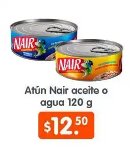 Arteli Atún Nair oferta