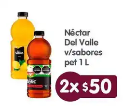 Arteli Néctar Del Valle v/sabores oferta