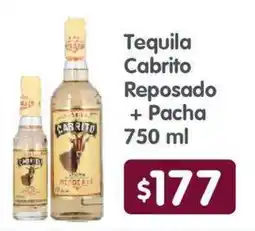 Arteli Tequila Cabrito Reposado + Pacha oferta