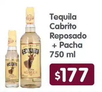 Arteli Tequila Cabrito Reposado + Pacha oferta