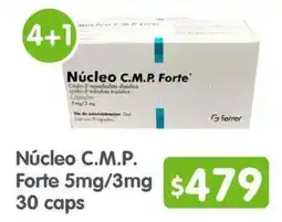 Arteli Núcleo C.M.P. Forte oferta